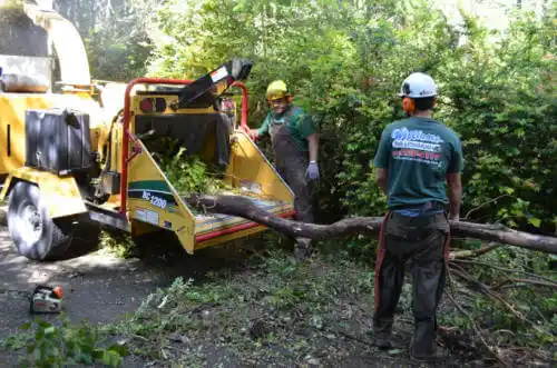 tree services Luverne